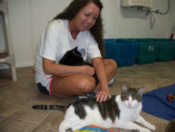 Blind Cat Rescue is a life time care sanctuary for blind, FIV ...